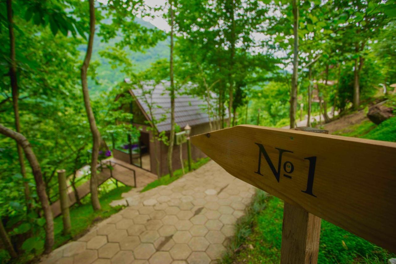 Woodpecker Ვუდფექერი Villa Batumi Kültér fotó