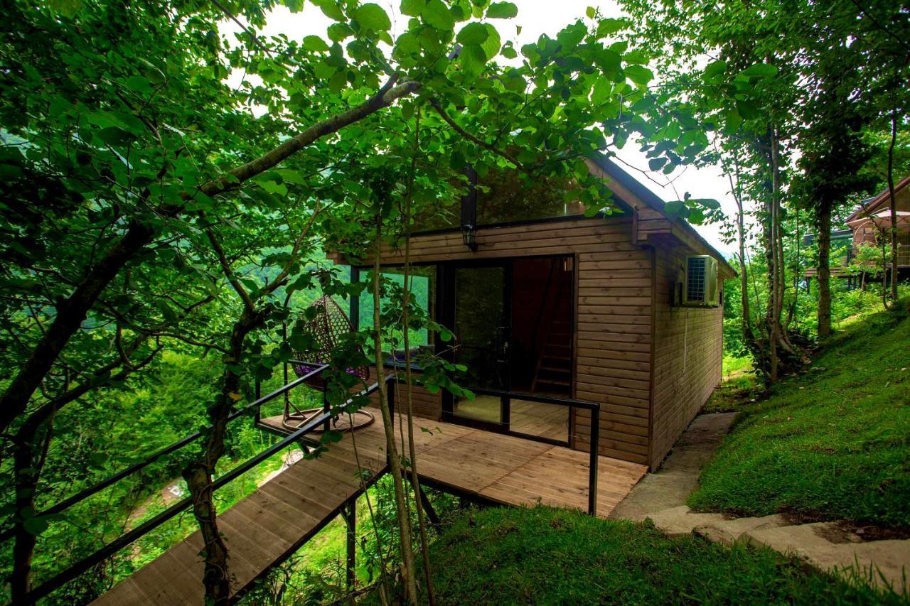 Woodpecker Ვუდფექერი Villa Batumi Kültér fotó