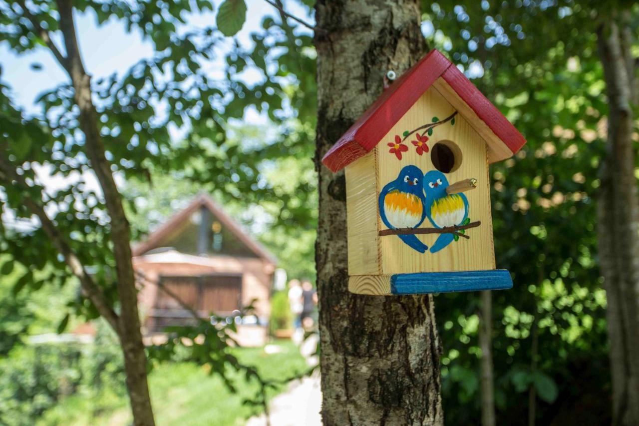 Woodpecker Ვუდფექერი Villa Batumi Kültér fotó