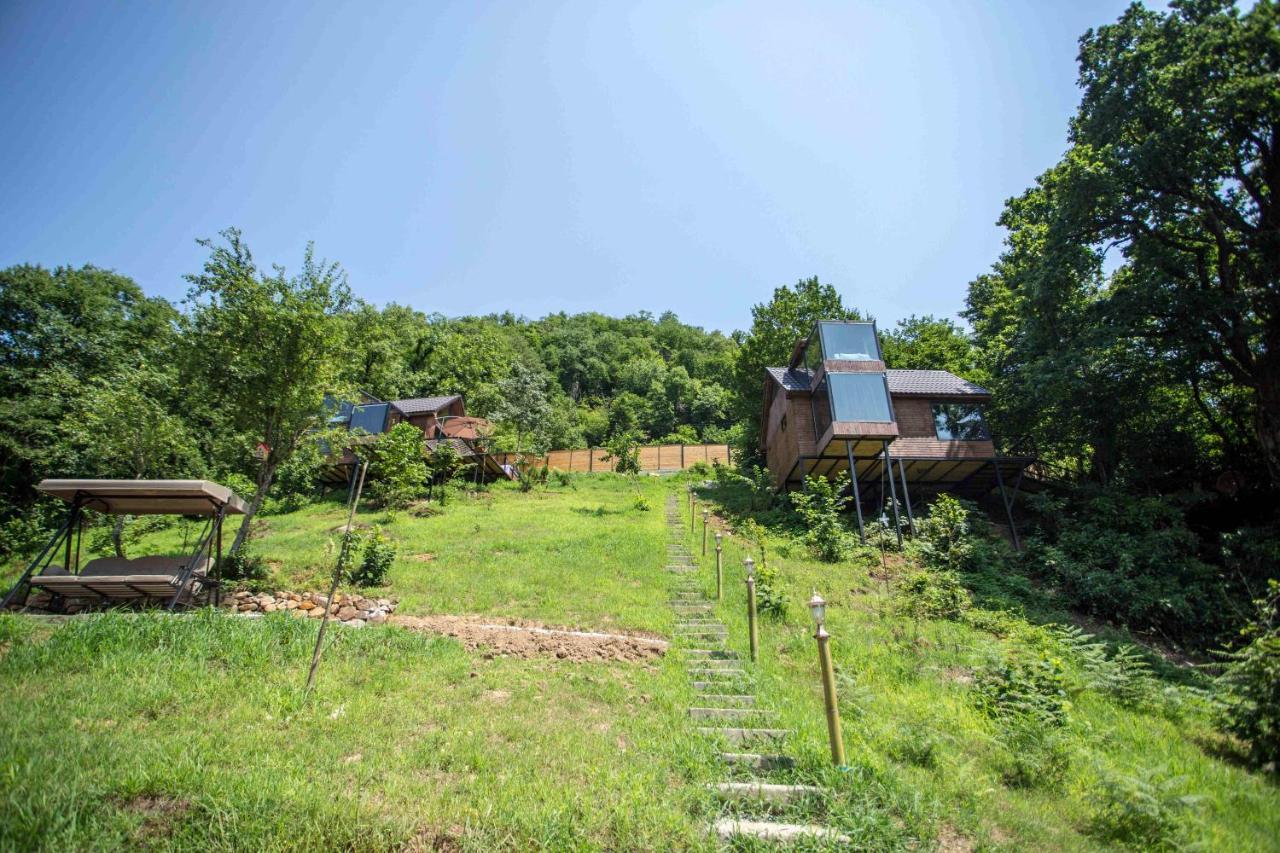 Woodpecker Ვუდფექერი Villa Batumi Kültér fotó