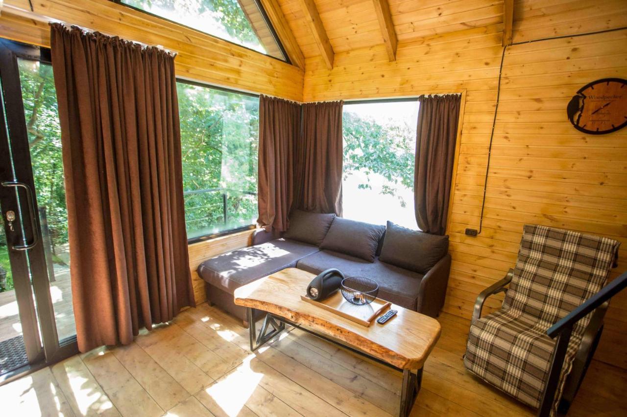 Woodpecker Ვუდფექერი Villa Batumi Kültér fotó
