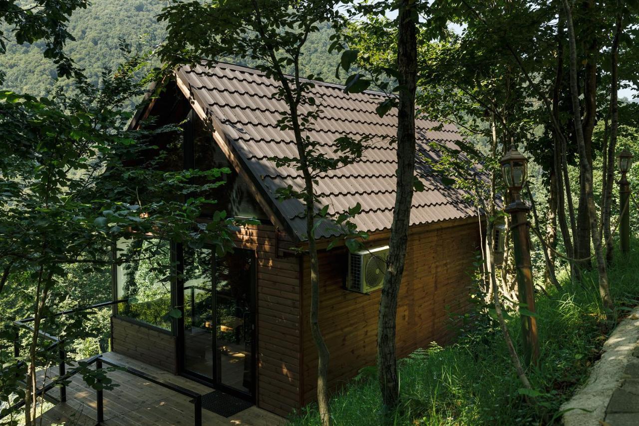 Woodpecker Ვუდფექერი Villa Batumi Kültér fotó