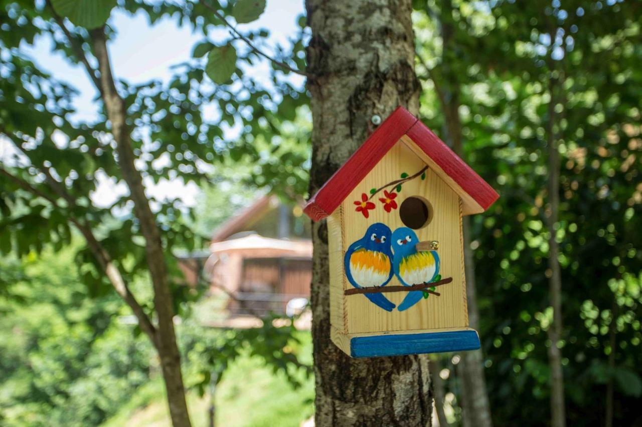 Woodpecker Ვუდფექერი Villa Batumi Kültér fotó