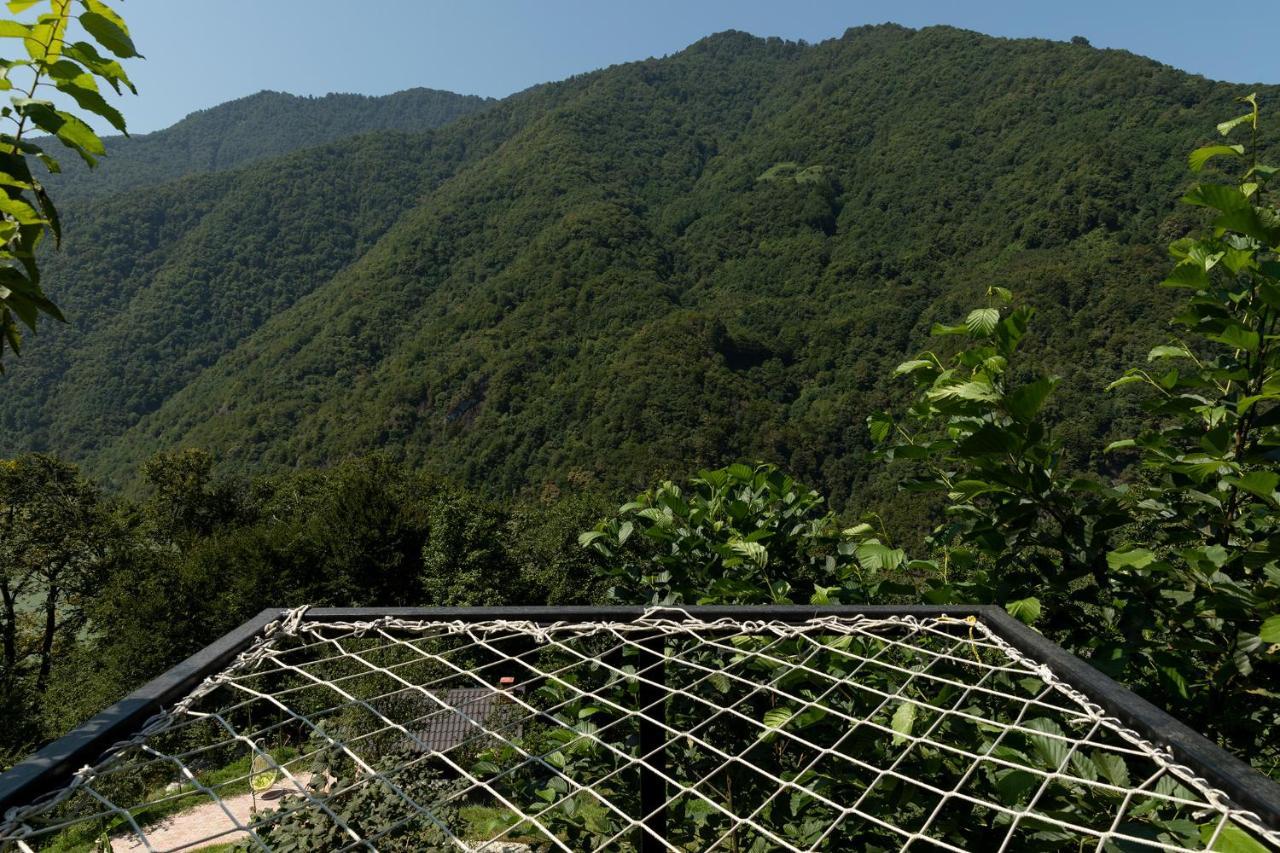 Woodpecker Ვუდფექერი Villa Batumi Kültér fotó