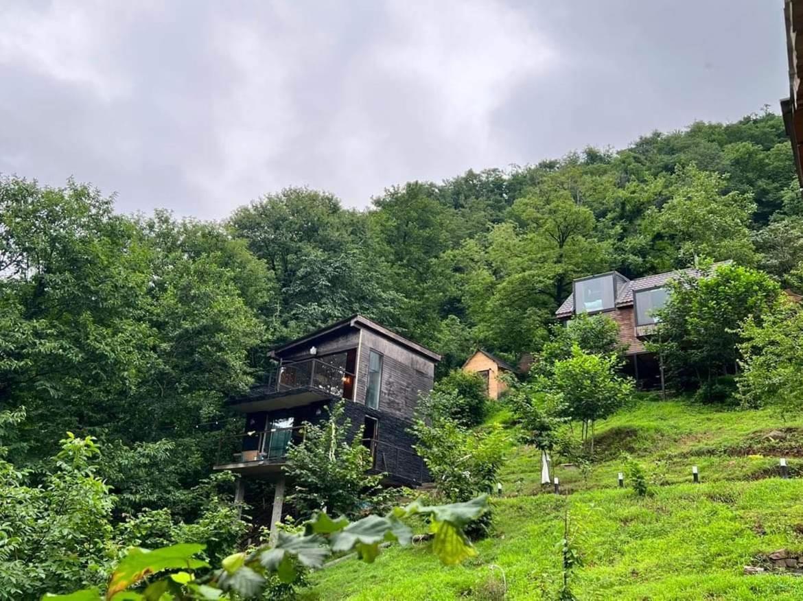Woodpecker Ვუდფექერი Villa Batumi Kültér fotó